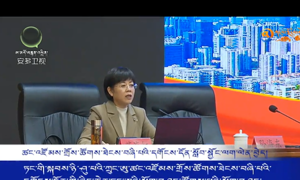 ཏང་གི་སྐབས་ཉི་ཤུ་པའི་ཀྲུང་ཨུ་ཚང་འཛོམས་གྲོས་ཚོགས་ཐེངས་བཞི་པའི་དགོངས་དོན་སློབ་སྦྱོང་ལག་ལེན་བྱེད།